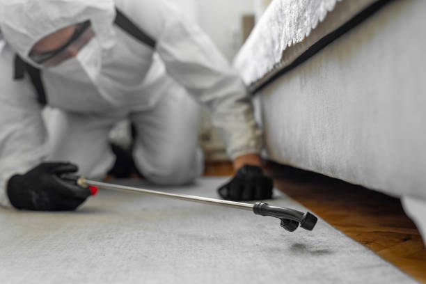 Professional Bed Bug Control technician working in Roosevelt County County, NM